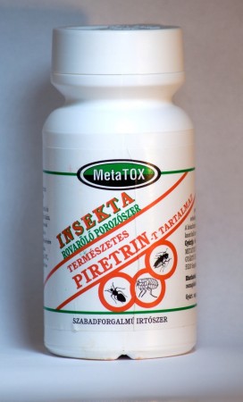 Insekta